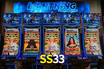 SS33