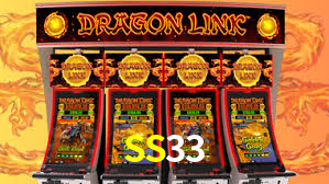 SS33
