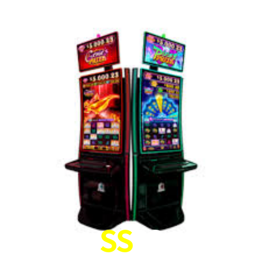 SS33